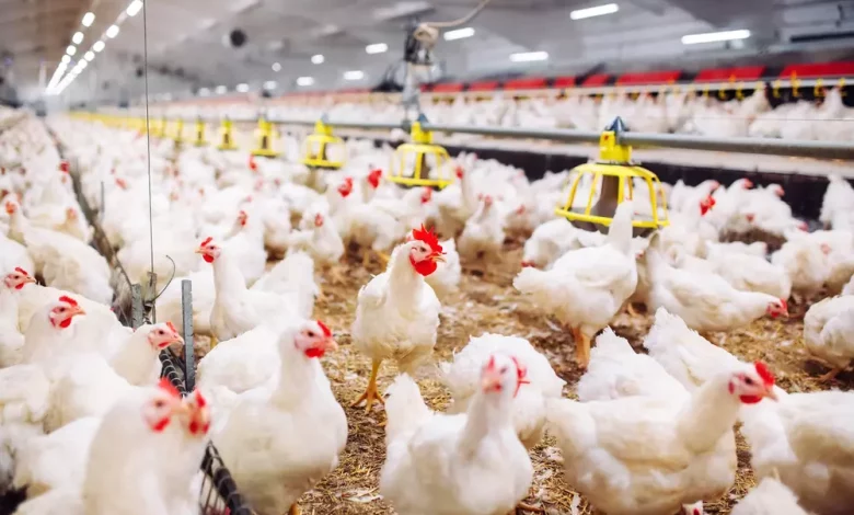 16e021bc438e677803c3d7e3a26296ac