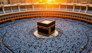 76ba78bb4f210800c72fb4db7135d6a7