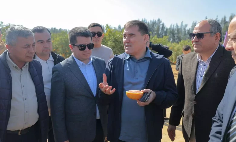 جهاز مستقبل مصر يستقبل وفدًا أوزبكيًا لبحث فرص التعاون