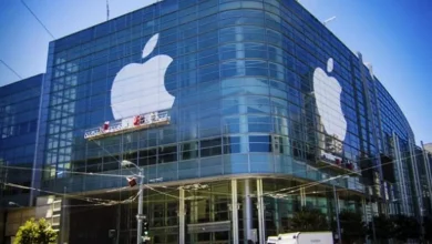 5313dab758b05cc43f815a55ce6236d8