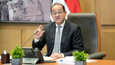 أحمد كجوك وزير المالية