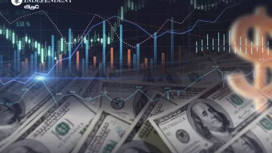 Egypt’s Remittances