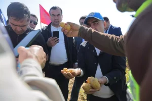 71364b59bbe688ed21a735102a403877