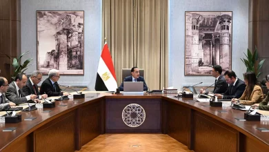 B07fb984527ddf41f9368c4934f3495c