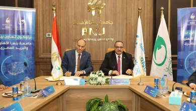 Bfa847378949c0706a6e054281436694