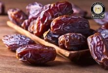 E543e74ad66fd40efc9b4b5876238bfa