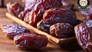 E543e74ad66fd40efc9b4b5876238bfa