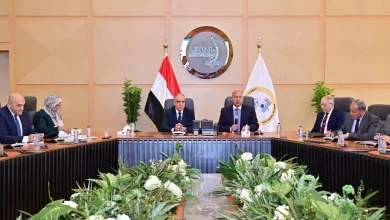 117ce095c97f4494525ab8851609a20d