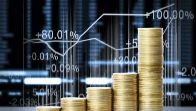 أسعار الفائدة وتوجهات الاستثمار