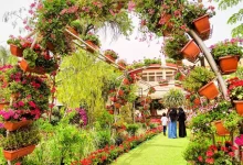 50253ac5774f78628f57fa9a3872e78d