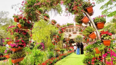 50253ac5774f78628f57fa9a3872e78d