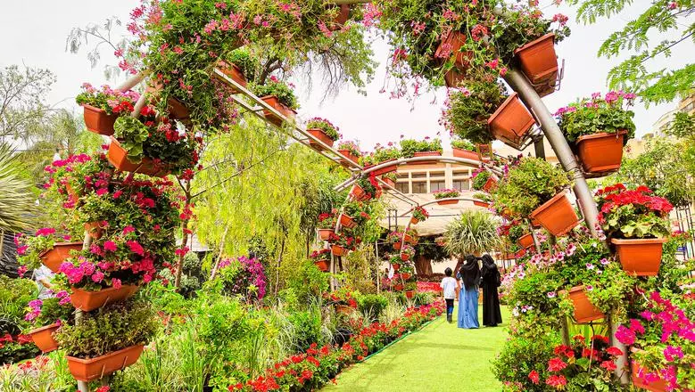 50253ac5774f78628f57fa9a3872e78d