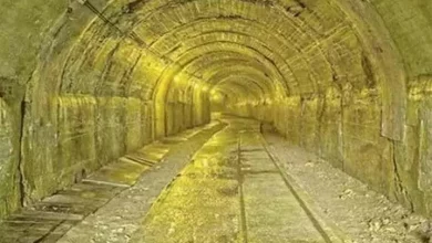 747de57b62acb19c24c97537b24938dd