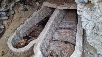 980a8b675e2a7a172a15615a7000b4f3