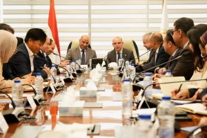 وحدة حكومية جديدة لحل مشكلات كبار المستثمرين في مصر..