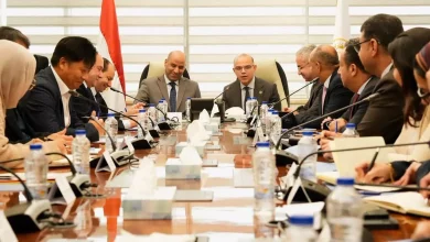 وحدة حكومية جديدة لحل مشكلات كبار المستثمرين في مصر..