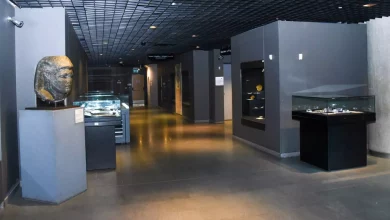 D4ae266e3fc76cbc745523b48af22039