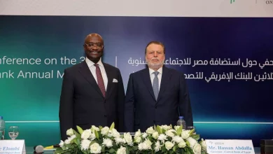 البنك المركزي المصري وأفريكسيم بنك يستعرضان استعدادات استضافة اجتماعات 2026