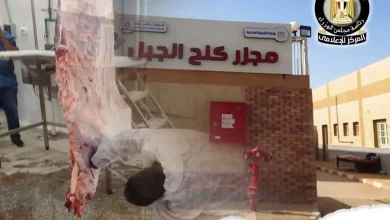 مجزر كلح الجبل، مجازر أسوان،