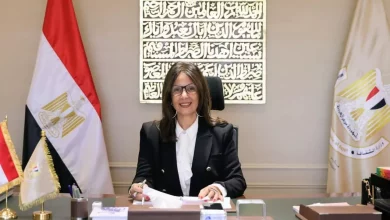 الدكتورة جيهان زكي، وزيرة الثقافة